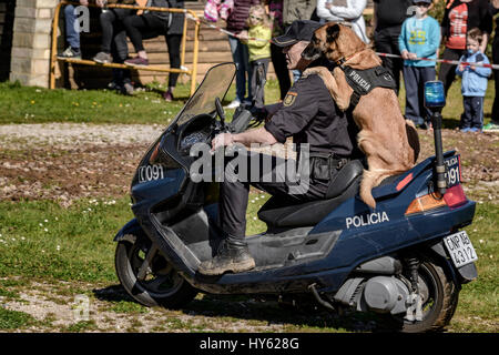 In der Natur Park von Cabárceno de Cantabria. Ausstellung von Hunde-Führer der Nationalpolizei. Spanien, Europa Stockfoto