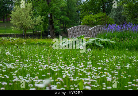 Lettland, CESIS - ca. Juni 2014: Blick von Cesis Schlosspark in Lettland Stockfoto