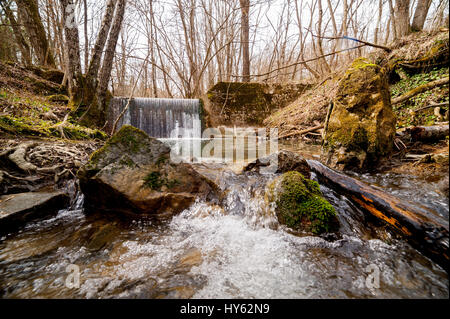 Kleiner Bach mit Wasserfall fließt in einem Wald mit großen Steinen und Baumstämmen Stockfoto