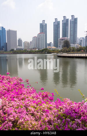 See, Bougainvilleen und Wolkenkratzer um Benjakiti Park, Bangkok, Thailand Stockfoto