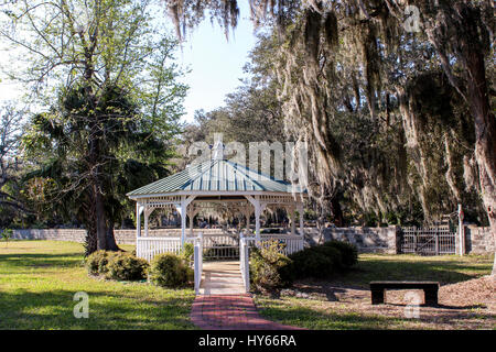 Spanish Moss in Georgien Stockfoto