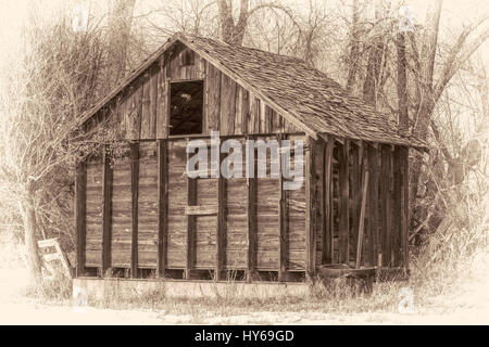 alte, kleine Scheune in einem verlassenen Bauernhof in Colorado mit einem Anliegerstaaten Pappel-Wald im Hintergrund, beschädigt hölzerne Schindeln auf dem Dach, Retro-Sepia opalot Stockfoto