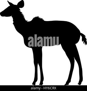 Silhouette von einem ständigen Kudu Antilope Stock Vektor