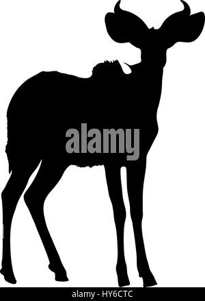 Silhouette von einem ständigen Kudu Antilope Stock Vektor