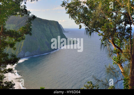Waipio Valley Lookout in der Big Island von Hawaii USA Stockfoto