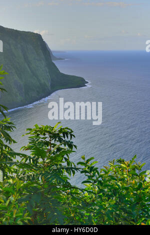 Waipio Valley Lookout in der Big Island von Hawaii USA Stockfoto