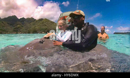 Schwimmen mit Haien und Rochen, Tiahura, Moorea, Französisch-Polynesien Stockfoto