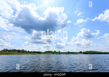 Panorama vom Amazonas-Regenwald, brasilianische Feuchtgebiet Region. Schiffbaren Lagune. Südamerika-Wahrzeichen. Amazonien Stockfoto