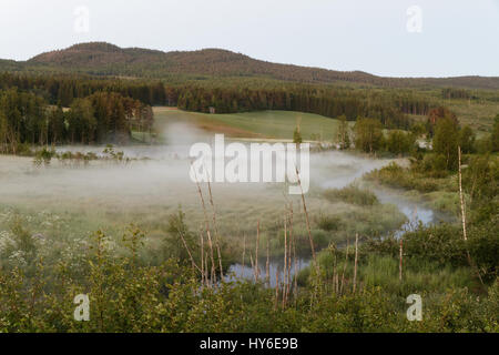 Neblige Landschaft in Ångermanland, Schweden Stockfoto