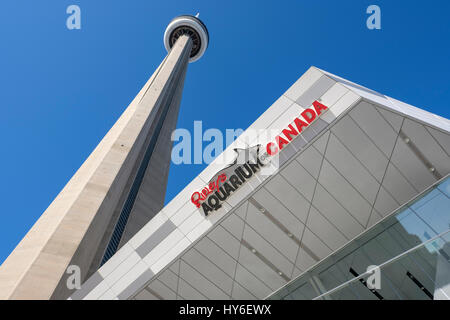 Weitwinkelansicht Rypley's Aquarium von Kanada und Toronto CN Tower, Toronto, Ontario, Kanada. Stockfoto