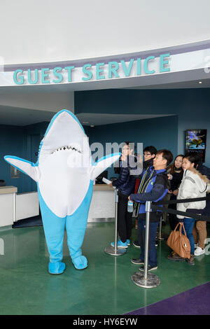 Ripley Aquarium of Canada Hai Maskottchen Gruß Besucher an den Gast Servicedesk, Toronto, Ontario, Kanada. Stockfoto