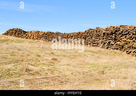 Stapel von Holz auf einem Rasen-Hang. Dieses Holz wird höchstwahrscheinlich als Biokraftstoff verwendet werden. Stockfoto