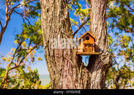 MacLeay Island, Queensland, Australien Stockfoto