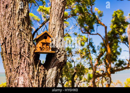 MacLeay Island, Queensland, Australien Stockfoto