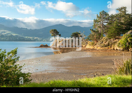 Sonnenuntergang am Otago Harbour östlich von Dunedin, Neuseeland Stockfoto