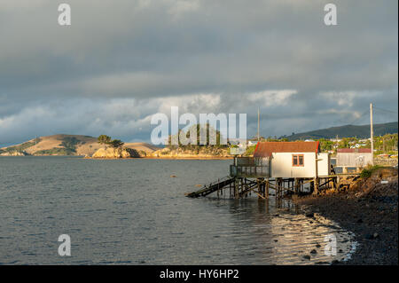 Otago Peninsula und Otago Harbour während des Sonnenuntergangs östlich von Dunedin, Neuseeland Stockfoto