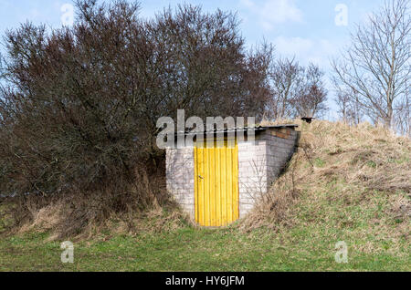 Alte Keller mit gelben Türen in den Garten. Stockfoto