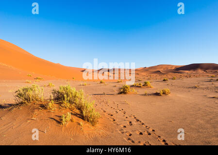 Fußabdrücke auf malerischen Wellen und Sand-Dünen im Sossusvlei, Namib-Naukluft-Nationalpark, beste touristische und Attraktion in Namibia zu reisen. Abenteuer und Stockfoto