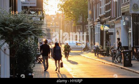 Schönes Licht in einer Straße - Amsterdam, Holland Stockfoto