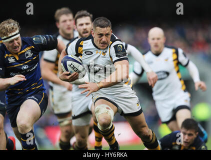 Wespen Jimmy Gopperth auf dem Weg zu seiner Mannschaft zweiten Versuch während der European Champions Cup-Viertelfinale im Aviva Stadium Dublin erzielte. Stockfoto