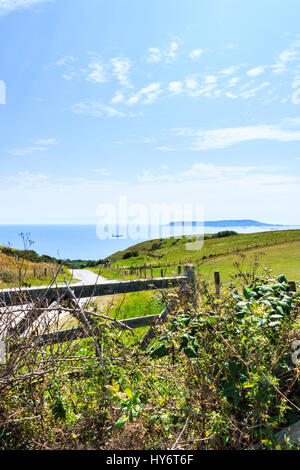 Blick über fünf bar Gate und Felder, eine kurvenreiche Straße, die zum Meer und Ringstead Bay, Dorset, England, UK, Portland Bill in der Ferne Stockfoto