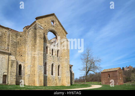 Die Abtei von San Galgano war ein Kloster, befindet sich in der Nähe von Siena. Die dachlose Wände von der Gotik des 13. Jahrhunderts stehen noch Stockfoto