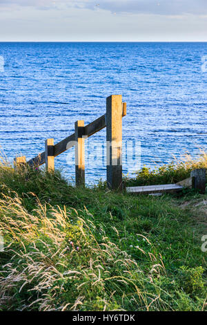 Holz Treppen hinunter zum Strand von Südwesten Küste bei Ringstead Bay, Dorset, England, Großbritannien Stockfoto