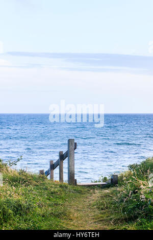 Holz Treppen hinunter zum Strand von Südwesten Küste bei Ringstead Bay, Dorset, England, Großbritannien Stockfoto