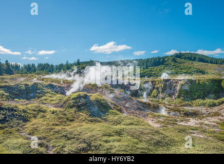 Krater des Mondes - aktive Erdwärmefeldes in Taupo, Neuseeland Stockfoto