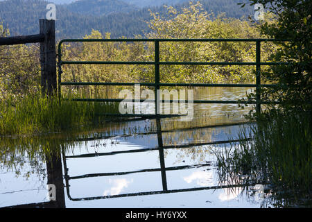 Gate Reflexion in der Hochwasser Stockfoto