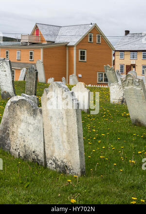 Grabsteine und Saunière Häuser, Trinity, Neufundland Stockfoto