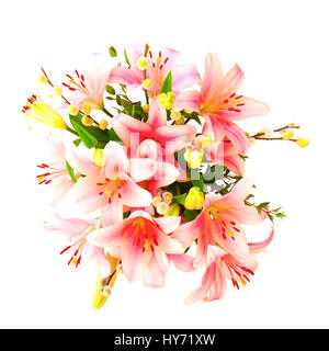 Hueter der Lilien auf weißem Hintergrund Stockfoto