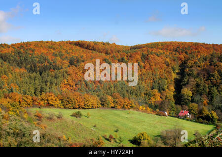 Herbst in der Tschechischen Republik. Blick auf die herbstlichen Hügel сloseup. Stockfoto