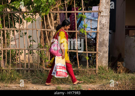 Indien, Bundesstaat Kerala aka Ernakulam, Allepey, der Backwaters. Frau in typischen Atire entlang des Kanals und Wasserstraßen der Backwaters. Stockfoto