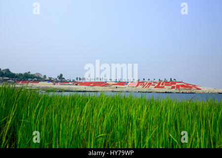 Rote Chilischoten getrocknet auf den Jamuna Char (Jamuna Flussinsel) am Sariakandi in Bogra, Bangladesch. Stockfoto