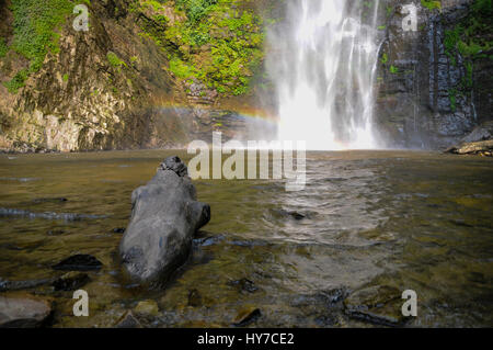 Ein Wasserfall in den tropischen Wald von Ghana. Stockfoto