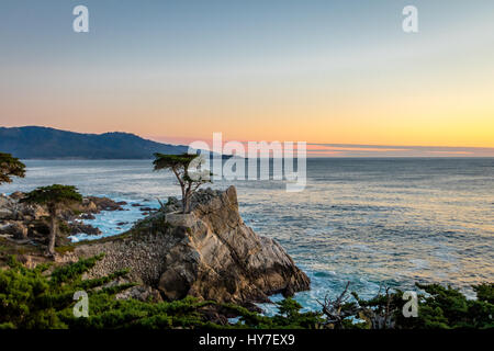 Lone Cypress Tree Blick bei Sonnenuntergang entlang der berühmten 17 Mile Drive - Monterey, Kalifornien, USA Stockfoto