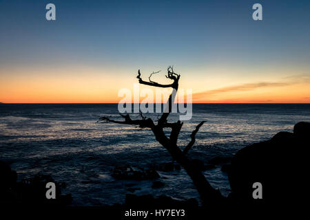 Blick auf den Sonnenuntergang entlang der berühmten 17 Mile Drive - Monterey, Kalifornien, USA Stockfoto