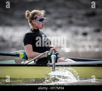 London, UK. 1. April 2017. Cambridge University Women Boat Club auf eine endgültige Praxis Ausflug vor der Cancer Research UK Regatten am 2. April 2017 stattfinden.  Crew-Liste:-CUWBC blaues Boot: (NB tragen viele der Besatzung zum verwechseln überwiegend dunkelblau aber Cox ist in hellem Blau und es ist das Cambridge Blau Boot, das abgebildet ist!) Bogen: Bogen: Ashton Brown, 2: Imogen Grant, 3: Claire Lambe, 4: Anna Dawson, 5: Holly Hill, 6: Alice weiß, 7: Myriam Goudet, Schlaganfall: Melissa Wilson, Cox: Matthew Holland. Trainer: Rob Baker. Bildnachweis: Duncan Grove/Alamy Live-Nachrichten Stockfoto