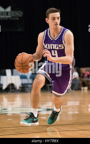 Reno, Nevada, USA. 1. April 2017. Reno Bighorn Guard DAVID STOCKTON (4) während der NBA D-League Basketball-Spiel zwischen den Reno Dickhornschafe und die Northern Arizona Sonnen im Reno Events Center in Reno, Nevada. Bildnachweis: Jeff Mulvihill/ZUMA Draht/Alamy Live-Nachrichten Stockfoto