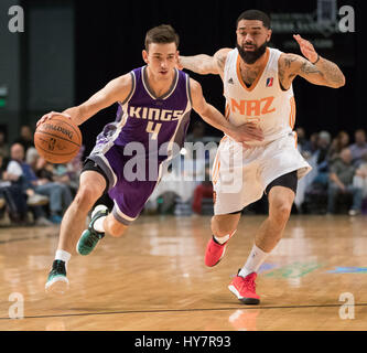 Reno, Nevada, USA. 1. April 2017. Reno Bighorn Guard DAVID STOCKTON (4)-Antriebe gegen Northern Arizona Suns Guard JOSH GRAY (5) während der NBA D-League Basketball-Spiel zwischen den Reno Dickhornschafe und die Northern Arizona Sonnen im Reno Events Center in Reno, Nevada. Bildnachweis: Jeff Mulvihill/ZUMA Draht/Alamy Live-Nachrichten Stockfoto