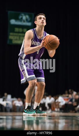 Reno, Nevada, USA. 1. April 2017. Reno Bighorn Guard DAVID STOCKTON (4) schießt einen Freiwurf während der NBA D-League Basketball-Spiel zwischen Reno Dickhornschafe und die Northern Arizona Sonnen im Reno Events Center in Reno, Nevada. Bildnachweis: Jeff Mulvihill/ZUMA Draht/Alamy Live-Nachrichten Stockfoto