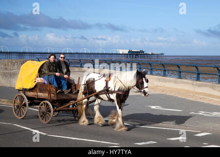 Alte alte hölzerne Bauernhof Wagen und braun-weiße Kob Pferd, die auf Southport Strandpromenade gefahren werden, Merseyside, Großbritannien. Wetter in Großbritannien. Schöner, sonniger, trockener Tag in Aussicht, da am frühen Morgen Aktivitäten entlang der Strandpromenade und der Promenade stattfinden. Stockfoto