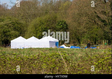 Eastham, Wirral, UK. 2. April 2017. Polizei forensischen teams Invesigate verschwinden und die möglichen Mord an Steven Preston, zuletzt gesehen am 18. September 1992, folgende aktuelle neue Informationen.  Forensische Zelte haben jetzt nach einer umfangreichen Suche des Bereichs errichtet worden.  Die Polizei konzentrierten sich auf einer Fläche von Feldern in der Nähe der M53 und Starbucks in Eastham, Wirral. Bildnachweis: Paul Warburton/Alamy Live-Nachrichten Stockfoto