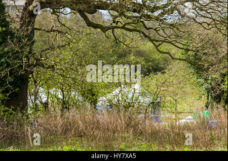 Eastham, Wirral, UK. 2. April 2017. Polizei forensischen teams Invesigate verschwinden und die möglichen Mord an Steven Preston, zuletzt gesehen am 18. September 1992, folgende aktuelle neue Informationen.  Forensische Zelte haben jetzt nach einer umfangreichen Suche des Bereichs errichtet worden.  Die Polizei konzentrierten sich auf einer Fläche von Feldern in der Nähe der M53 und Starbucks in Eastham, Wirral. Bildnachweis: Paul Warburton/Alamy Live-Nachrichten Stockfoto