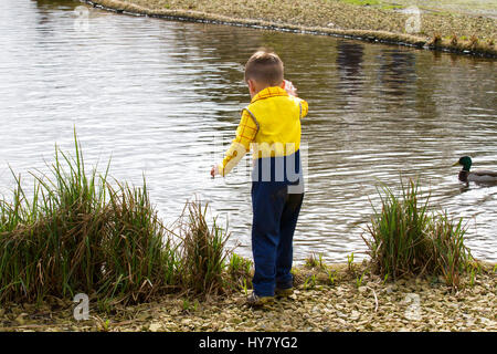 Kind im Watersedge Wildlife Pond in Burscough, Lancashire, Großbritannien. März 2017. Duck Hunt im Martin Mere Wetland Centre. Spring Day in Martin Mere, einem Feuchtgebiet, das vom Wildfowl and Wetlands Trust in Lancashire, Großbritannien, verwaltet wird. Besucher des Reservats genießen die Frühlingssonne, während Wasservögel, Wasservögel und Enten den Beginn wärmerer Temperaturen zu begrüßen scheinen. Besucher wurden auf einem Duck Hunt Trail behandelt, um bis zu 20 benannte Plastikenten zu finden, die im Laub versteckt sind. Stockfoto