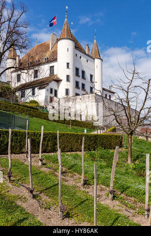 Schloss Nyon, Nyon, Kanton Waadt, Schweiz Stockfoto