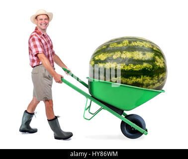 Fröhlicher Gärtner tragen eine große Wassermelone. Ein Mann, Schubkarre mit riesigen Wassermelone. Erfolgreiche Züchter von Obst und Gemüse. Stockfoto