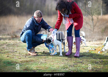 Ein junges Paar Fuß ihre zwei Hunde im Wald Stockfoto