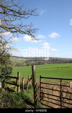 Ein Blick über den malerischen North Downs in Surrey Hills in der Nähe von Albury in Surrey, England. Stockfoto